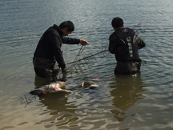 丹東溺水打撈